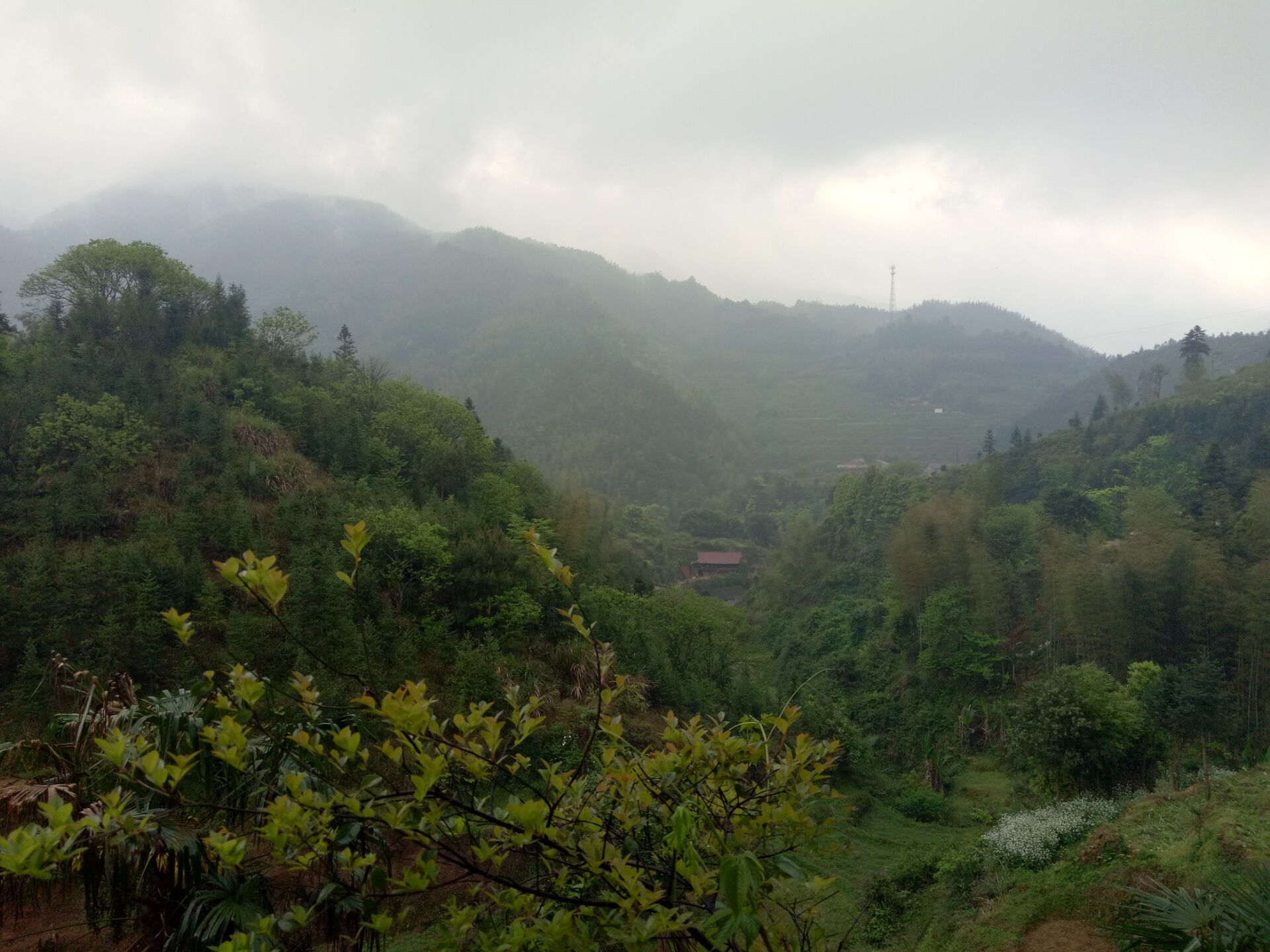 元代著名画家娄仲英