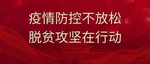 娄高排防控疫情标语作品